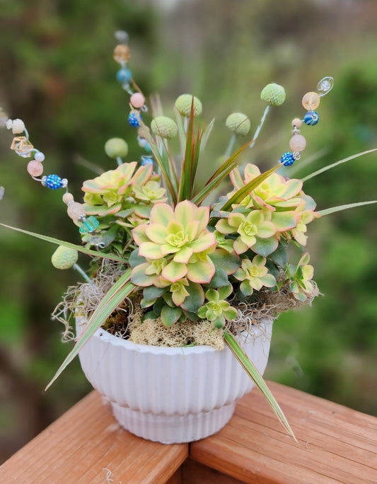 Plants: A living memory