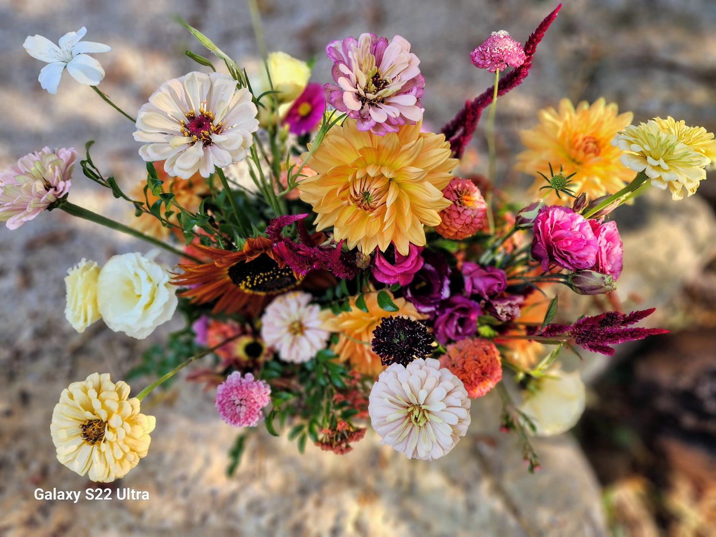 Seasonal Beauty