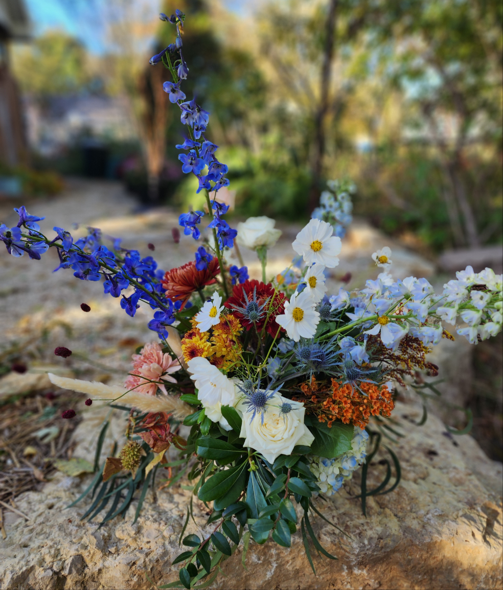 Seasonal Beauty