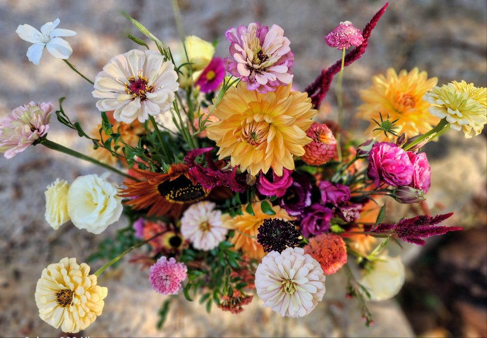 Seasonal Beauty
