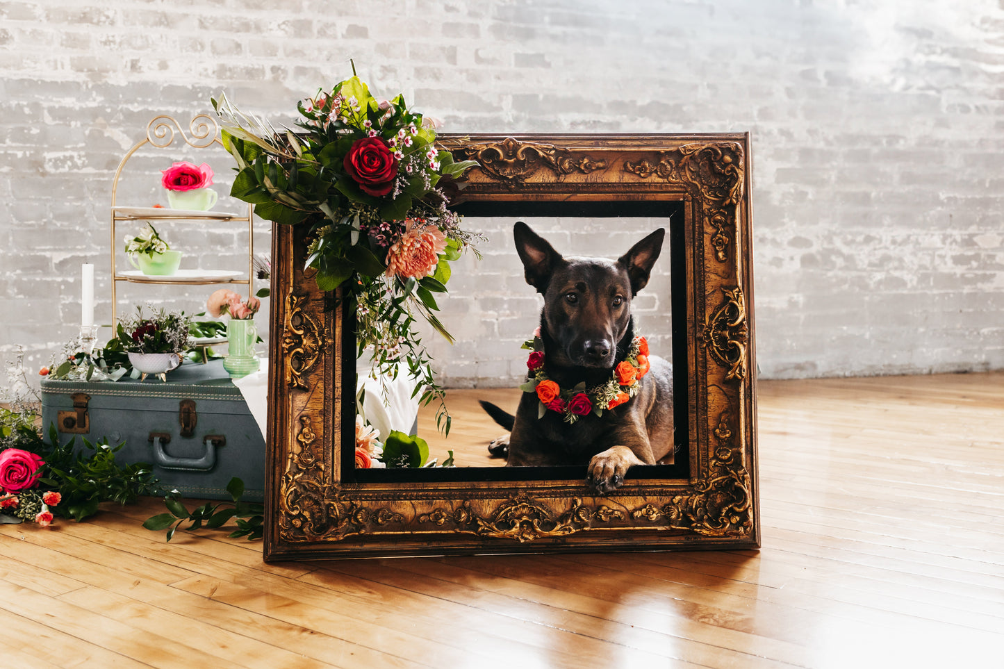 Pet Adornments
