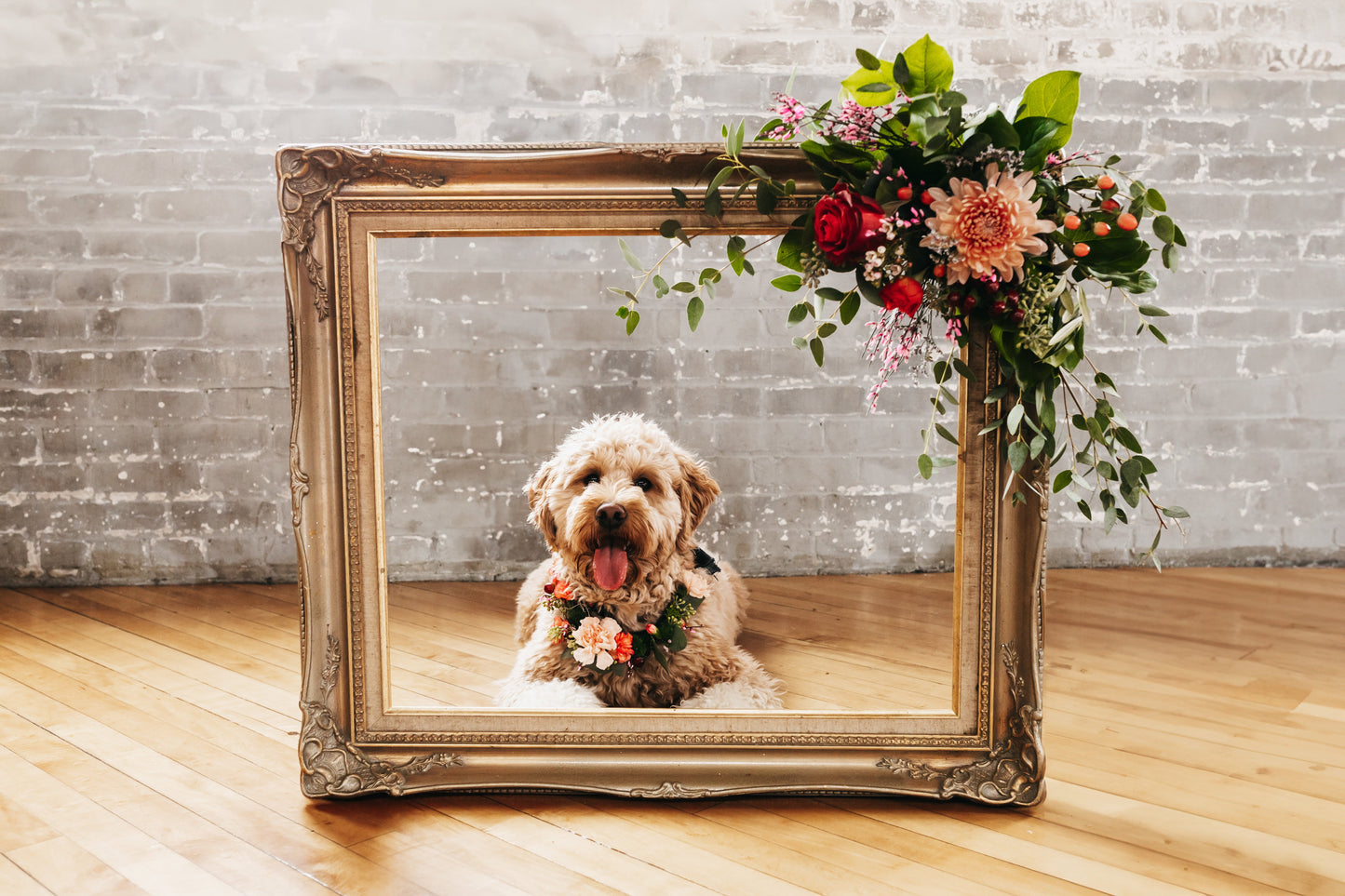 Pet Adornments